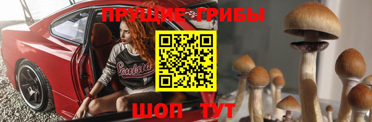 Галлюциногенные грибы MAGIC MUSHROOMS  Галлюциногенные грибы мухоморы  Орёл  Вход с VPN 